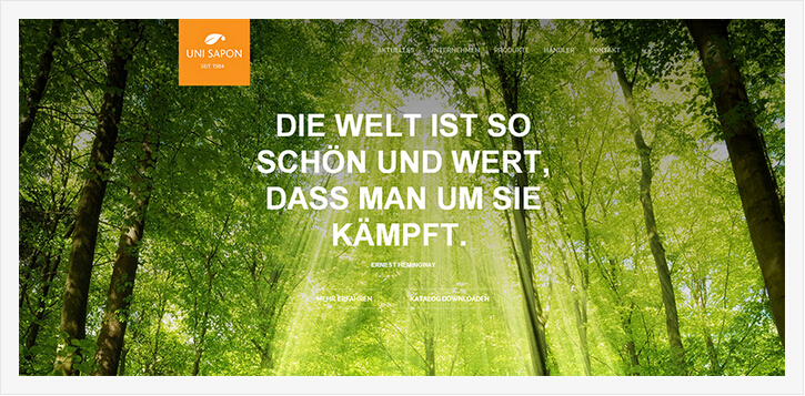 �L(f��ng)���زľW(w��ng)վ�O(sh��)Ӌ